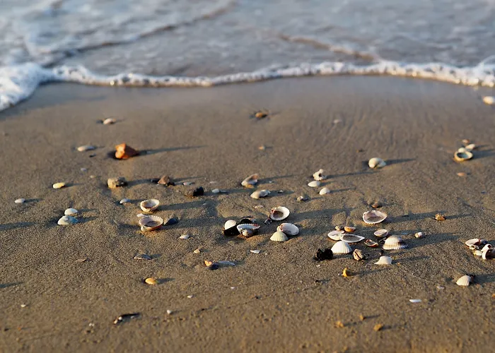 Modern Flat With Terrace For 5 Guests - Beahost * Бібіоне